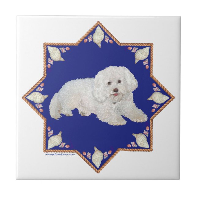 Bichon Frise Náutico (Frente)