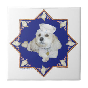 Bichon Frise Náutico