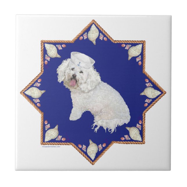 Bichon Frise Náutico (Frente)