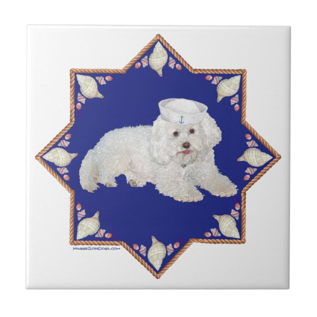 Bichon Frise Náutico (Frente)