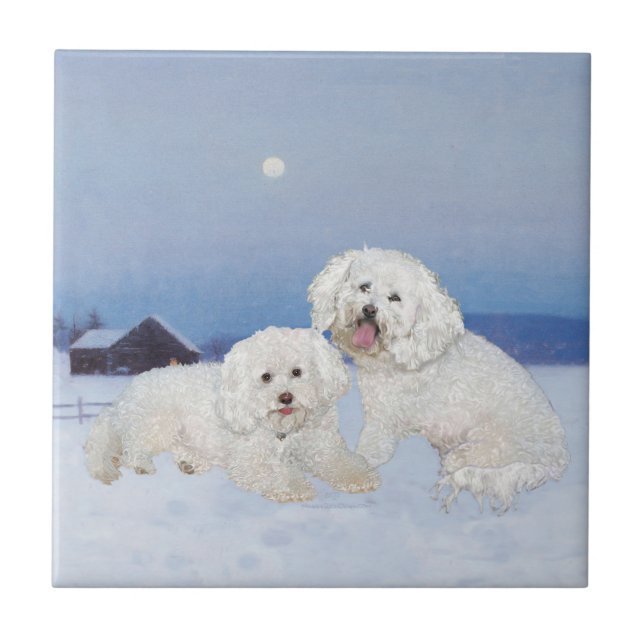 Bichon Frise Noite de Dezembro (Frente)