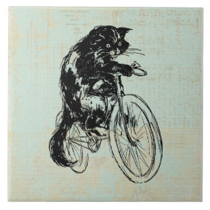 Bicicleta De Gato Cortado Vintage Mint Arte Verde
