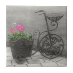 Bicicleta e flores antigas em preto e branco