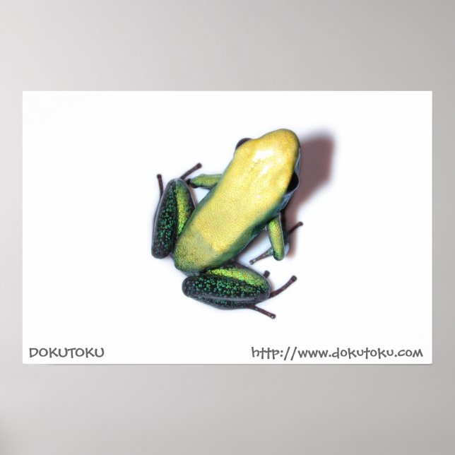 Bicolor Poster (Frente)