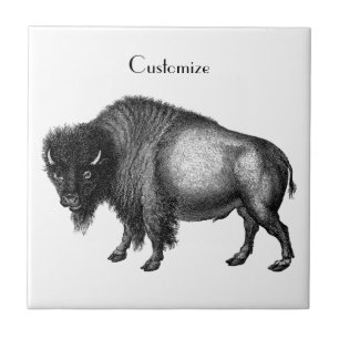 Big Bison Buffalo Thunder_Cove