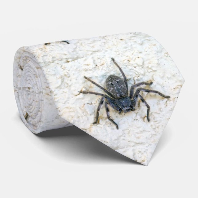 Big Female Huntsman Spider, Gravata no pescoço (Rolled)