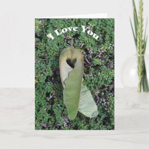 Big Leaf Maple Heart - Cartão de Arte para Moldura