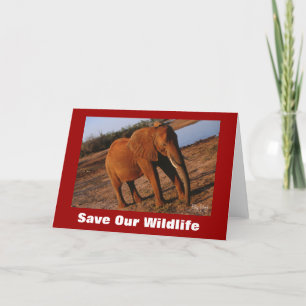 Big Red Salve Nosso Cartão De Saudação Da Vida
