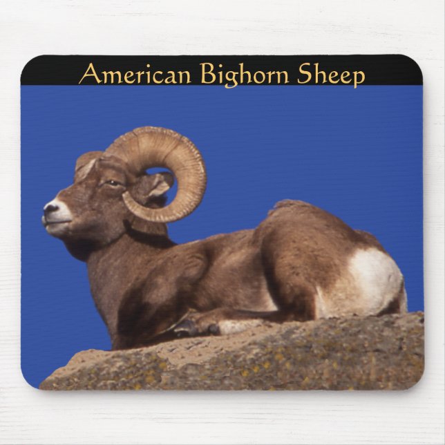 Bighorn Sheep Mousepad (Frente)