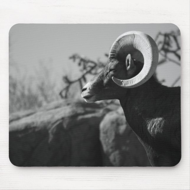 Bighorn Sheep Mousepad (Frente)