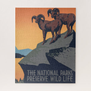 Bighorn Sheep Sunset Poster Quebra-cabeça