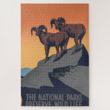Bighorn Sheep Sunset Poster Quebra-cabeça