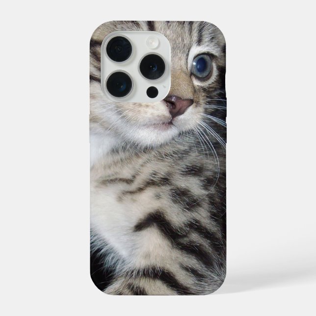 "Bigodes de Problema: O Gatinho Malicioso (Verso)