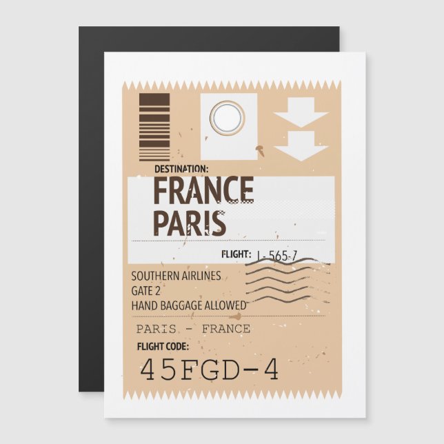 Bilhete de avião Paris França (Frente/Verso)