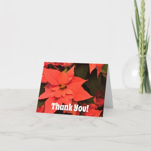 Bilhetes de Agradecimento de Natal Poinsettia em B (Frente)
