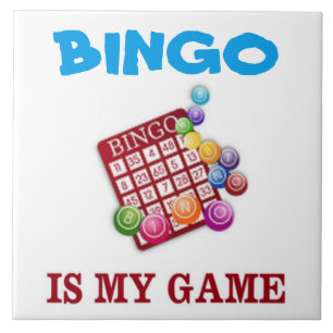 BINGO É MEU JOGO
