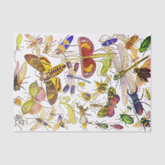 Biologia do lenço de papel | do inseto dos insetos