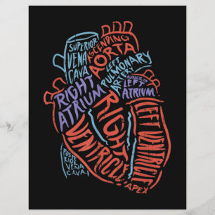 Biologia Médica de Anatomia Especialista em Coraçã