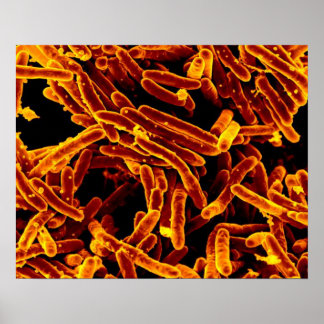 biologia microbiologia abstrato art canvas poster