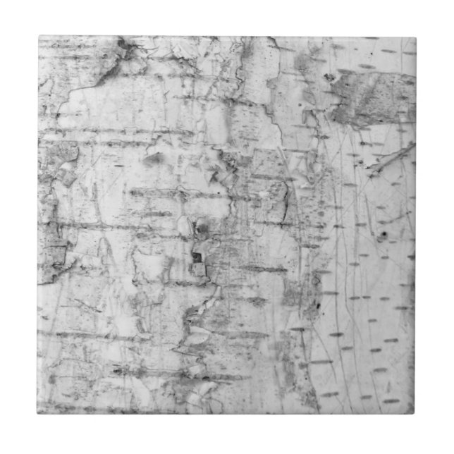 Birch bark pattern ceramic tile (Frente)