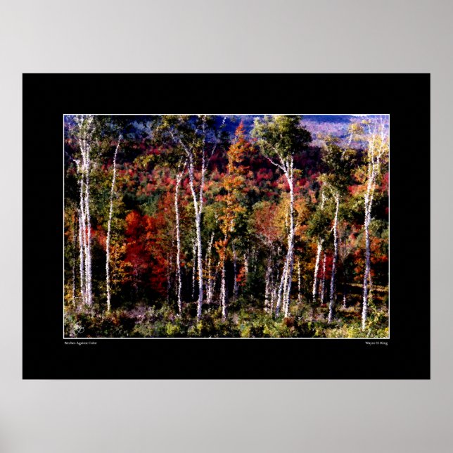 Birches Against Color Poster (Frente)