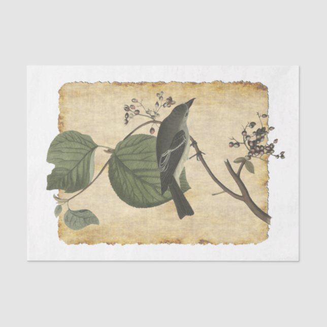 Bird 33 Papel Tecido de Decoupage (Frente )