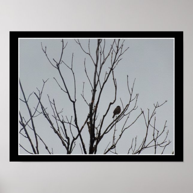 Bird in a Bare Tree Poster (Frente)