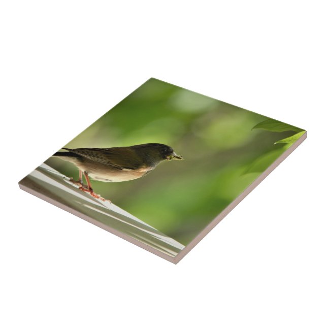 Bird in green leaves background (Lateral)