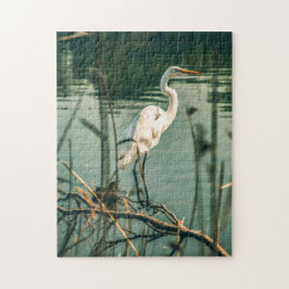 Bird Quebra-cabeça Fotografia da Melhor Vida Selva