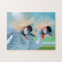 Bird Quebra-cabeça Fotografia da Melhor Vida Selva