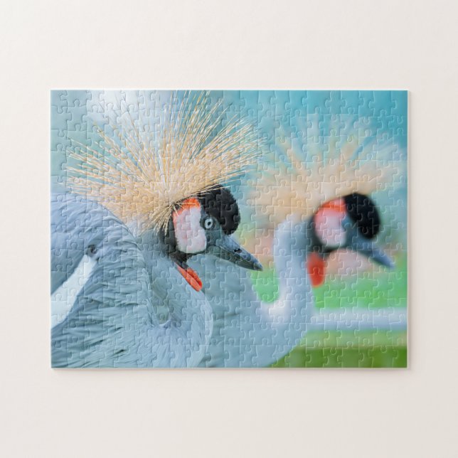 Bird Quebra-cabeça Fotografia da Melhor Vida Selva (Horizontal)