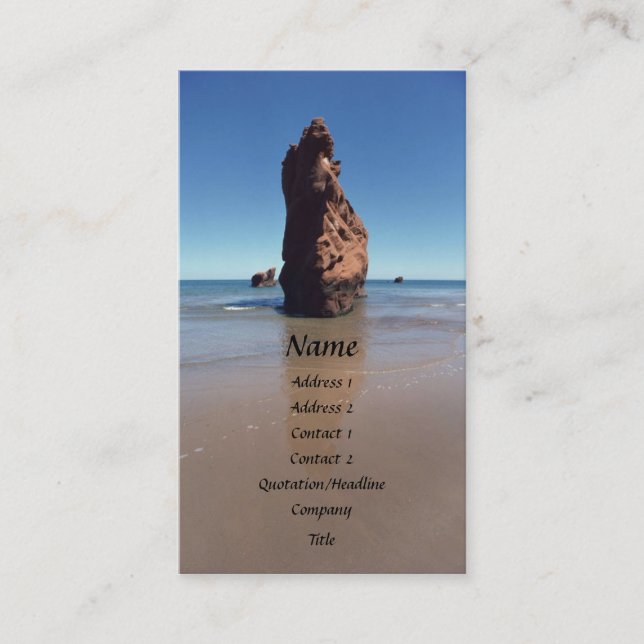 Bird Rock Cartão de visita (Frente)