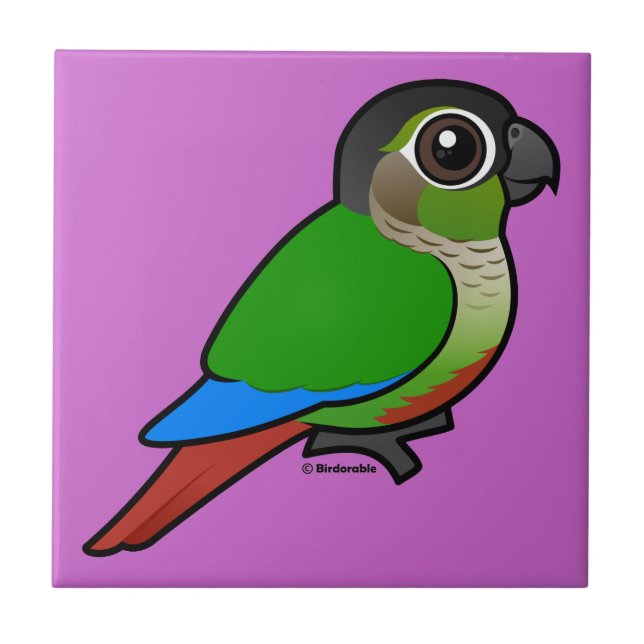 Birdorable Conure Verde-cheeked (Frente)