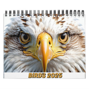 BIRDS 2025 CALENDÁRIO TWITCHERS DELIGHT!