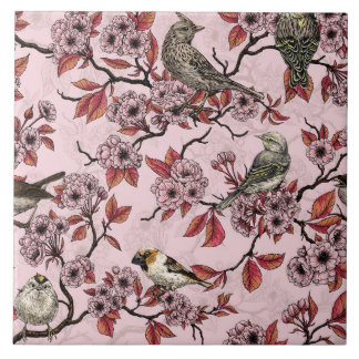 Birds and cherry blossom on rose pink