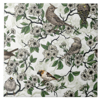 Birds and cherry blossom on white