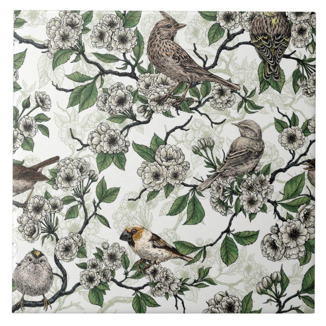 Birds and cherry blossom on white (Frente)