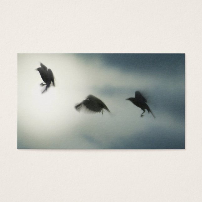 Birds In Motion (Frente)