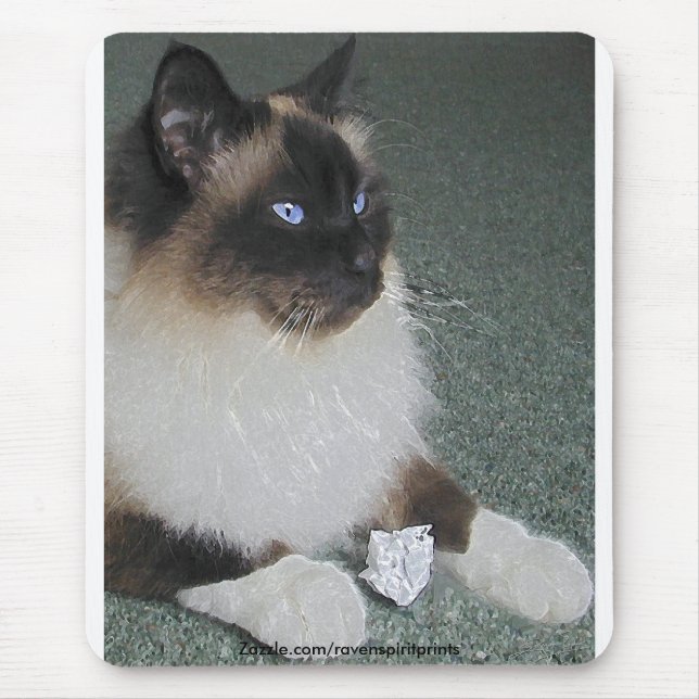 BIRMAN - RAGDOLL CAT Mousepad (Frente)