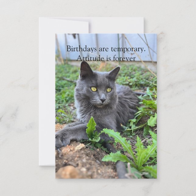 birthday card (Frente)