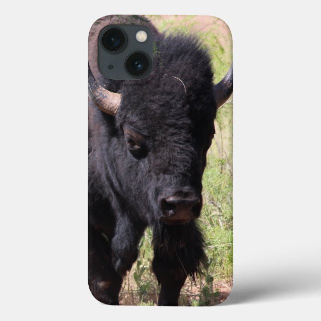 Bison Close capas de iphone (Verso)