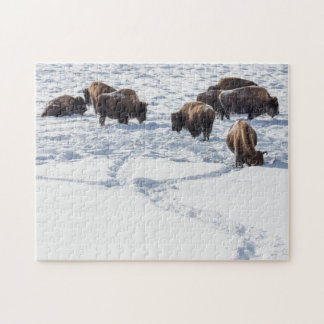 Bison em Snow Jigsee Quebra-cabeça