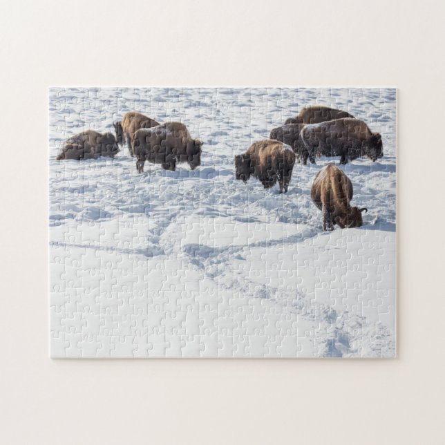 Bison em Snow Jigsee Quebra-cabeça (Horizontal)