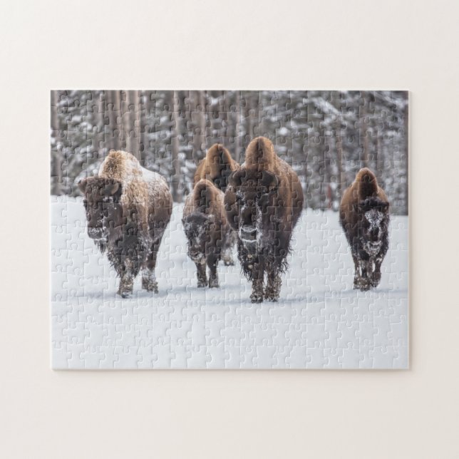 Bison Family em Snow Jigsee Quebra-cabeça (Horizontal)