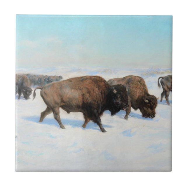 Bison in the Snow (por Rosa Bonheur) (Frente)