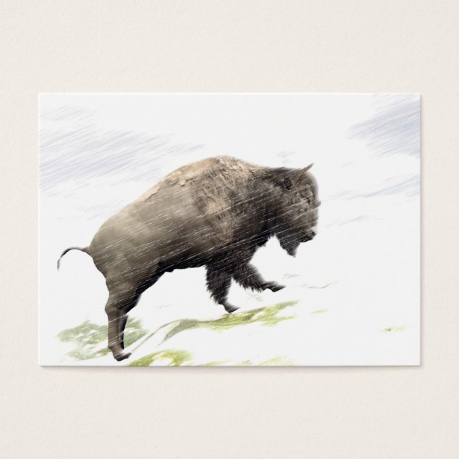 Bison na tempestade de inverno (Frente)
