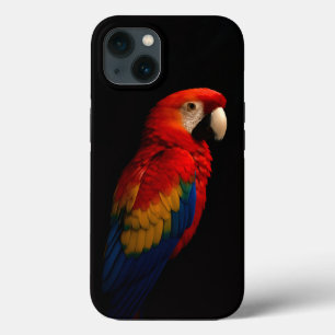 Black 4 Luxe iPhone 13, Escarlet Parrot Elegance