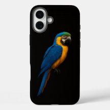 Black 4 Luxe iPhone 16 Plus, Arara-azul-e-amarela