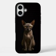 Black 4 Luxe iPhone 16 Plus, Gato Sphynx