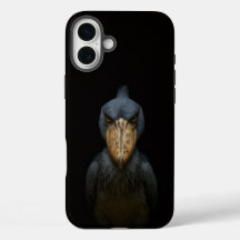 Black 4 Luxe iPhone 16 Plus, Pássaro Bico-de-Sapat